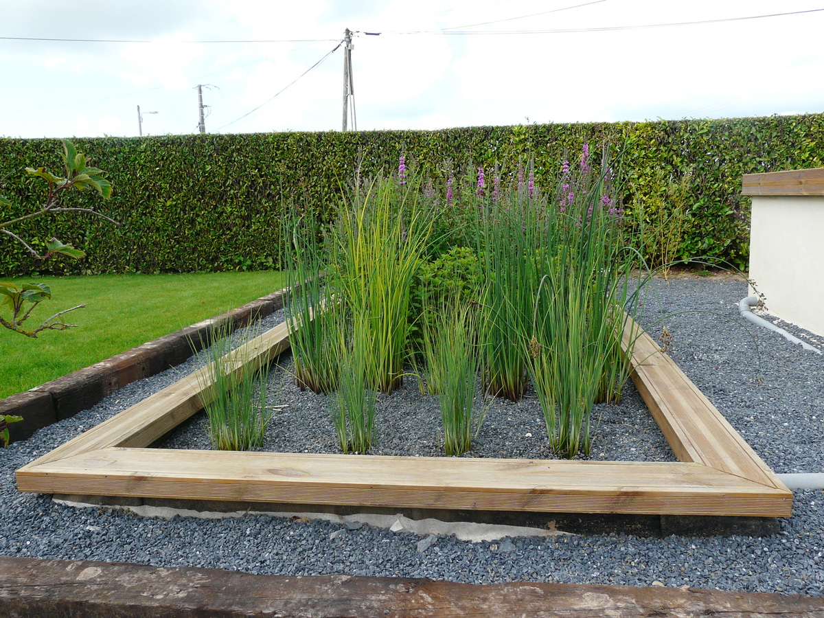 Phyto-épuration Olivier Menard